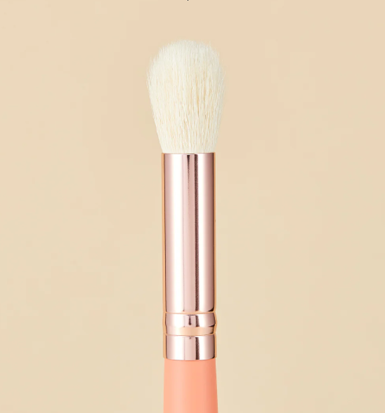 KIT DE PINCEAUX DE MAQUILLAGE CORAL LIFE
