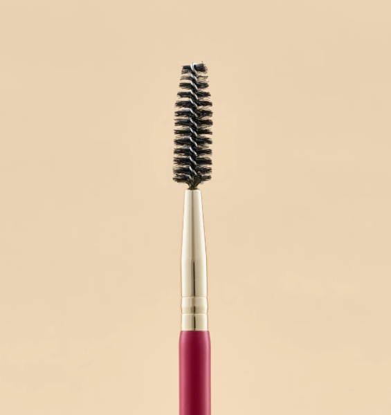KIT DE BROSSE POUR LES YEUX ÉCARLATE X21 PCS