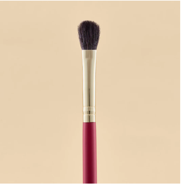 KIT DE BROSSE POUR LES YEUX ÉCARLATE X21 PCS