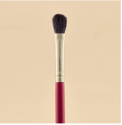KIT DE BROSSE POUR LES YEUX ÉCARLATE X21 PCS