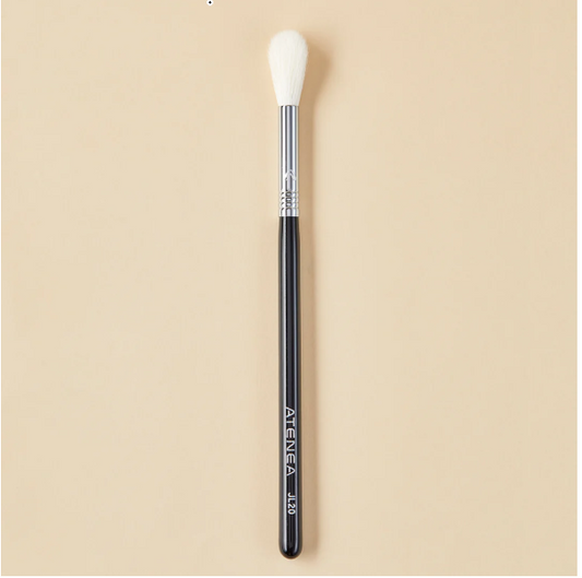 JL20 - BROSSE ILLUMINATRICE DE PISTE