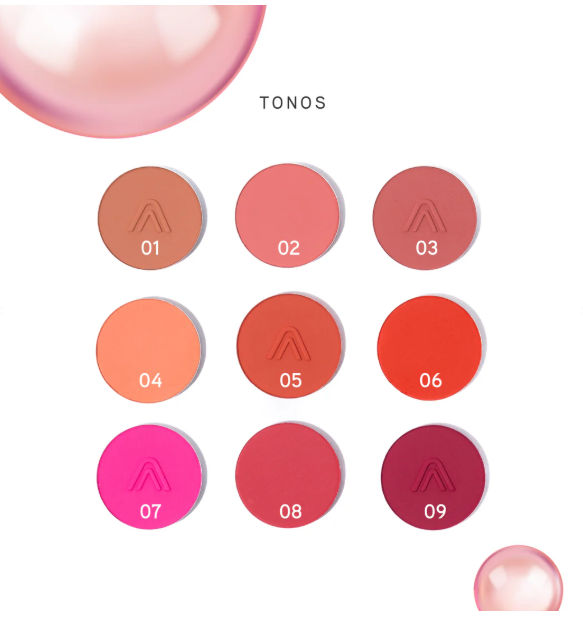 PALETTE DE FARDS À JOUES CHEECKS ROUGIT