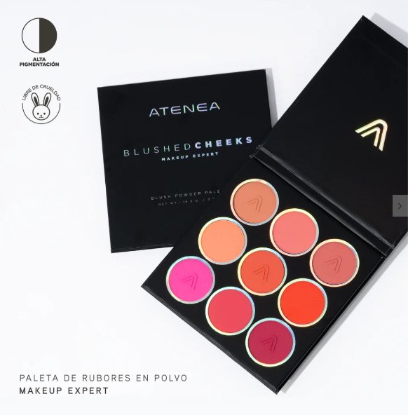 PALETTE DE FARDS À JOUES CHEECKS ROUGIT