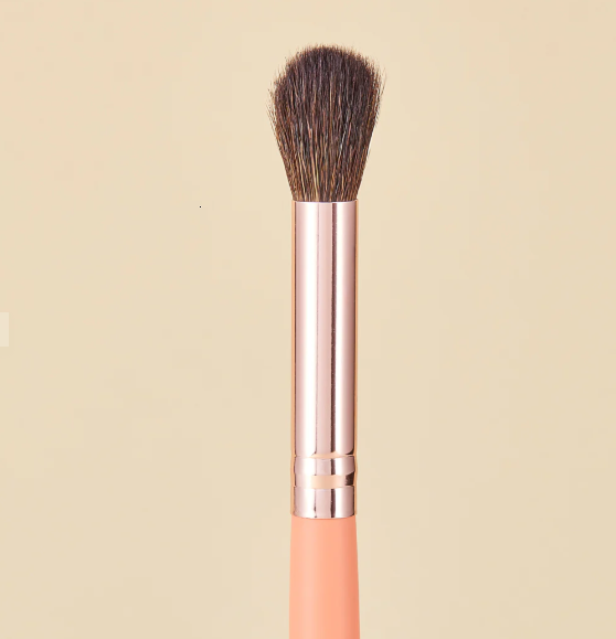 KIT DE PINCEAUX DE MAQUILLAGE CORAL LIFE