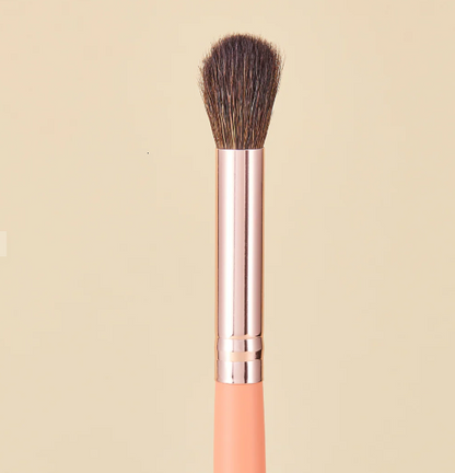 KIT DE PINCEAUX DE MAQUILLAGE CORAL LIFE