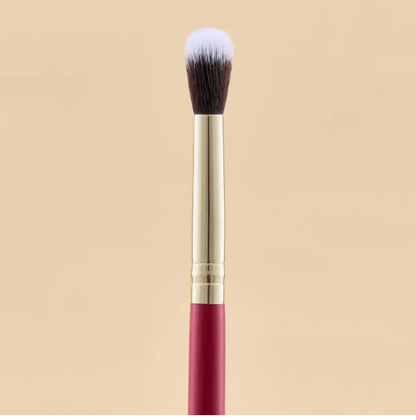 KIT DE BROSSE POUR LES YEUX ÉCARLATE X21 PCS
