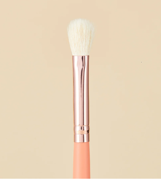 KIT DE PINCEAUX DE MAQUILLAGE CORAL LIFE
